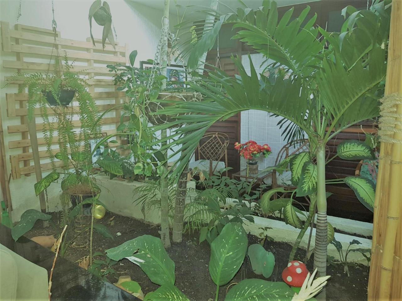 Pousada Terra Garrida Maceió Eksteriør billede